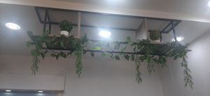  at Agnista Restaurant - Lagshan Center in Ulaanbaatar