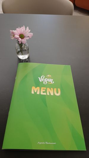 The new menu at Agnista Restaurant - Lagshan Center in Ulaanbaatar