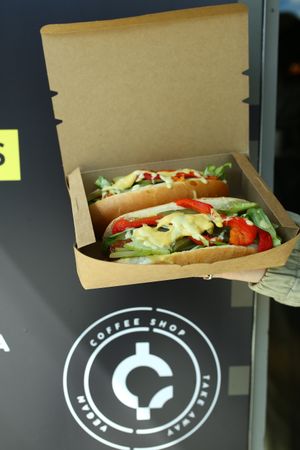 Vegan Hot Dog  at Quwwa in Busteni