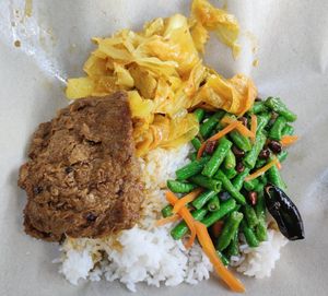 Rice with braised layered tofu skin, curry vegetables and long beans $3.80 at Yu Cheng Restaurant 雨成饭庄 in Central Singapore