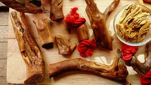 Vegan dog chewing sticks made from olive wood treated with olive oil. Natural and a great exercise for dogs. The olive wood does not splinter and is hard like a bone and good fun. at hundsfutter in Madrid