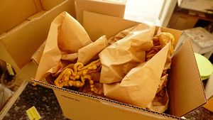 We send them unpacked by GLS think green right to your home at hundsfutter in Madrid