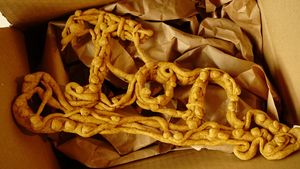 Supercute and yummy at hundsfutter in Madrid