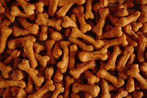  at hundsfutter in Madrid