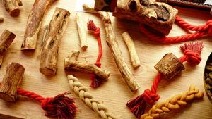 Unique handmade chew sticks bathed in Olive Oil. Made from olive wood.  at hundsfutter in Madrid