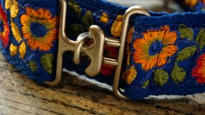 Tenemos una gran selección de collares muy especiales, artesanos para perros y encargos. Se aceptan encargos y nos encanta personalizar tu collar, arnés, abrigo correa, etc.. at hundsfutter in Madrid