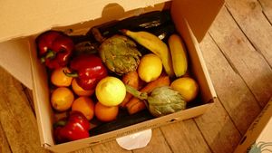 un precio atractivo. Hay que pedir en su web y recoger en nuestra tienda. Nos envantan que cuidan los verdaderis valores. at hundsfutter in Madrid