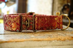  at hundsfutter in Madrid