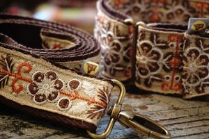 Matching collar and leash. Far any dog and cat. at hundsfutter in Madrid