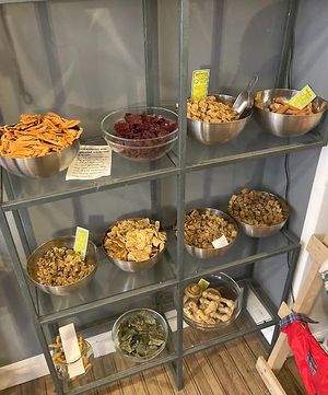  at hundsfutter in Madrid