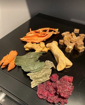  at hundsfutter in Madrid