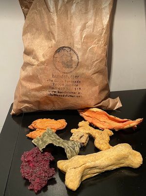  at hundsfutter in Madrid