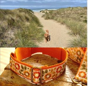 Our hundsfutter accessories in California. Let's make America a more Spanish place. ;)))
Happy week everyone.
#petshop #dogshop #accessories #snacks #gifts #souvenirs #handmade  at hundsfutter in Madrid