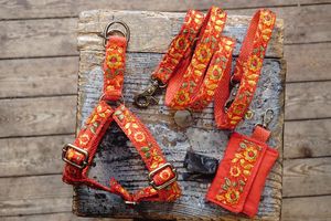 ARNES AND LEASH AND POOBAGHOLER MATCHING  at hundsfutter in Madrid