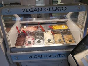 Home made vegan gelato at Taste Of Sidmouth in Sidmouth