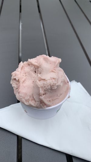 Delicious black cherry gelato!!  at Taste Of Sidmouth in Sidmouth