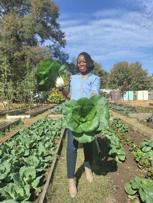 Freshly picked bok choy, Truly Wellness Living Farm in SW Atlanta. at All Purpose Vegan in Atlanta