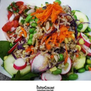 Side of vegetables with brown basmati rice, corn, carrots, scallions, cilantro, cabbage, Bragg's, and sesame oil. at Dandelion Food Cart in Madison