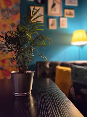 Mood at Jungle Bird in Birmingham