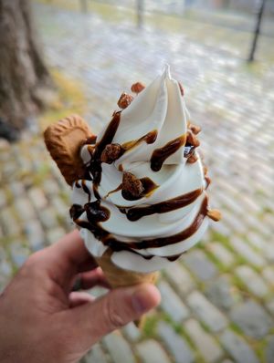  at The Happy Cow in Bristol