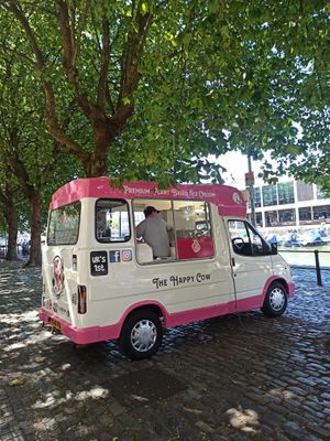100% vegan at The Happy Cow in Bristol
