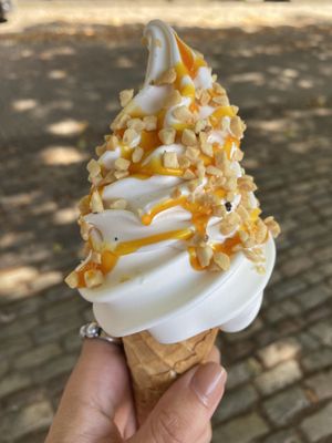 Mango sauce   at The Happy Cow in Bristol