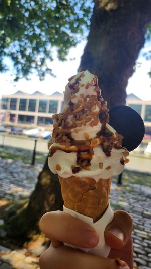  at The Happy Cow in Bristol