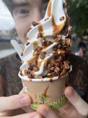   at The Happy Cow in Bristol