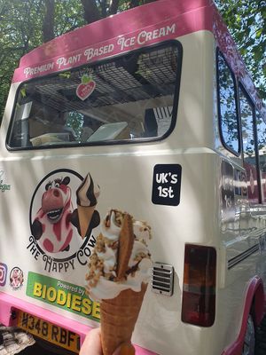  at The Happy Cow in Bristol