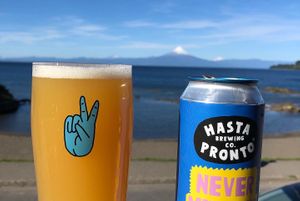 Excelente beer! at Espacio B in Frutillar