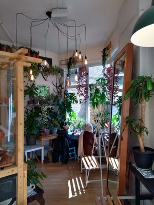 Interior at The Classroom N7 in North London