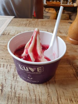 Lupi-Ice with "Rote Grütze" - yummy at YOMARO in Luebeck