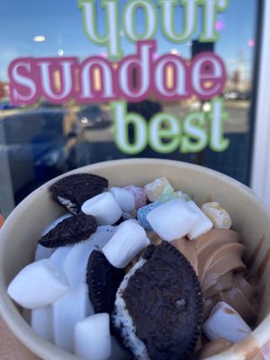 Vanilla and fudge brownie ice cream  at So Fun in Easton