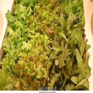 Organic leafy greens at New Start Restaurant in Seoul