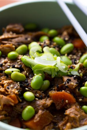 Close up of our favorite "Beef" Bowl at Tokyo Boom in Vienna