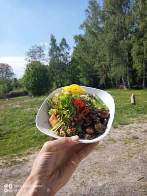  at Centrum Kairos in Mirova Pod Kozakovem