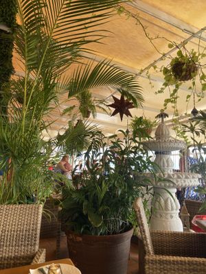 Restaurant   at Habibi in Tenerife