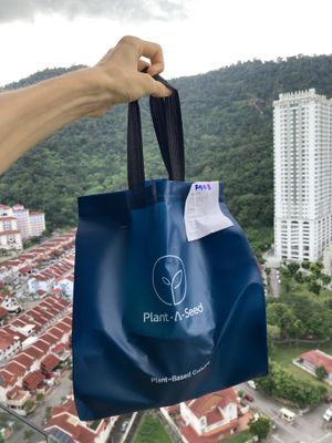 Packaging for delivery: you get a free reusable bag!  at Plant A Seed Vegan in Penang