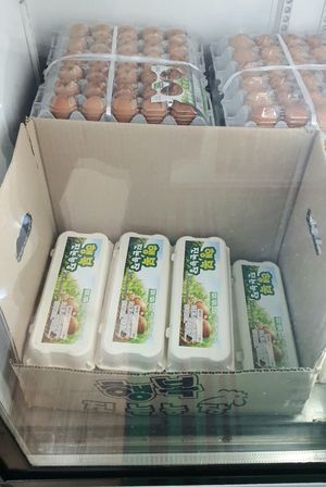 Eggs (animal welfare certified) at Hunza Maul 훈자건강마을 in Seoul