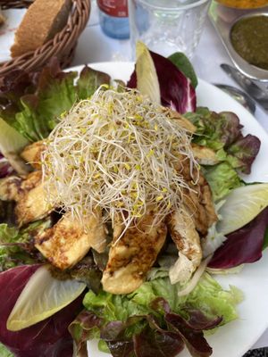 Salad with tofu   at Veggie Garden - Dels Angels in Barcelona