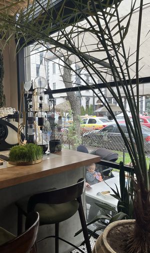   at AfroLab Roastery in Yerevan