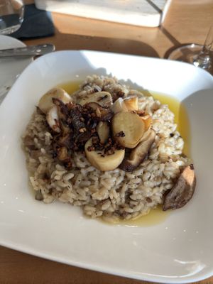 Mushroom Risotto  at Full Taste in Chamblee