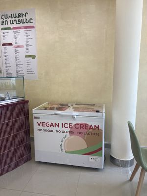 Vegan ice cream!  at SweetLi by Lilit in Yerevan