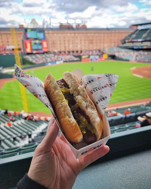 Vegan Hot Dog with GF Bun (regular buns are NOT vegan) at Birdland - Camden Yards in Baltimore