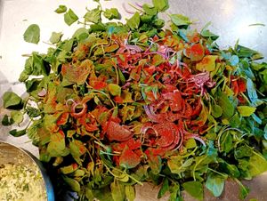  at Deli - Santa Maria in Mallorca