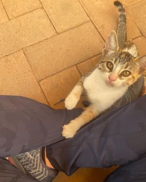  at La Selva de los Gatos in Oaxaca