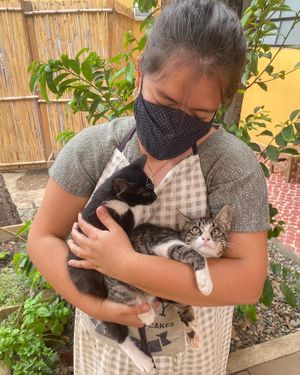  at La Selva de los Gatos in Oaxaca