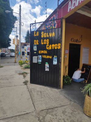  at La Selva de los Gatos in Oaxaca