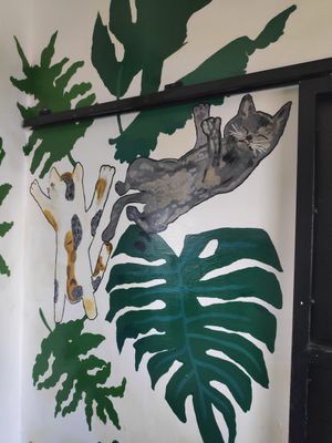  at La Selva de los Gatos in Oaxaca