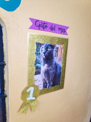  at La Selva de los Gatos in Oaxaca